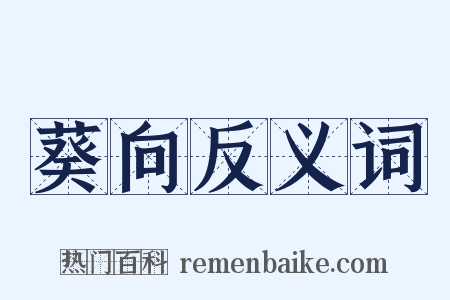 葵向反义词是什么意思的图片
